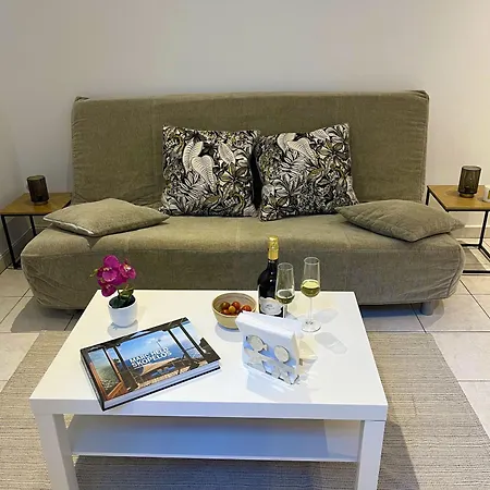 Studio Parisien Sur Cour Arboree Apartment Paris